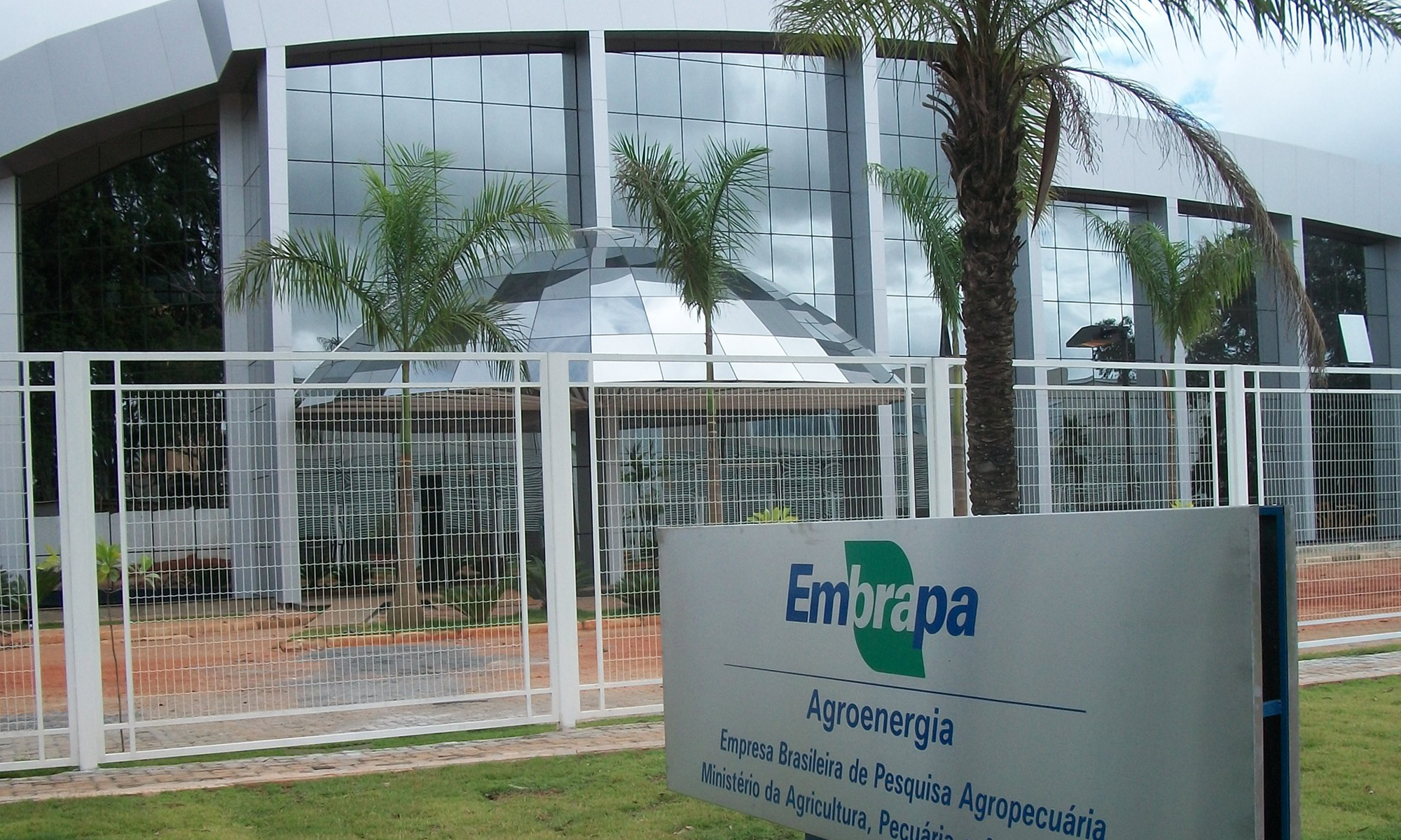 Reunião Embrapa – Secretaria de Inovação e Negócios