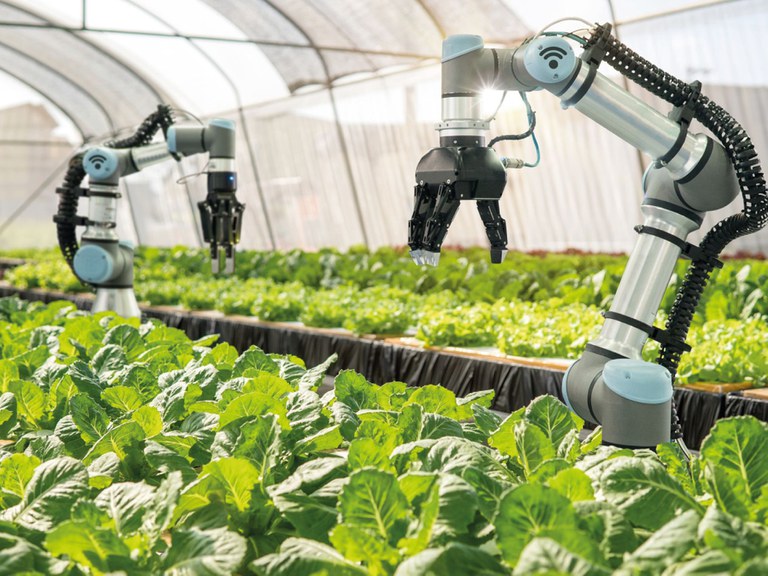 Programa levará tecnologias 4.0 para o agronegócio