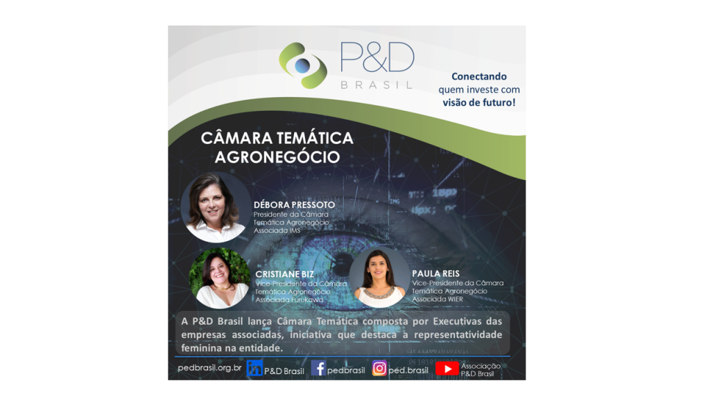 2ª Reunião Câmara Temática Agronegócio P&D Brasil