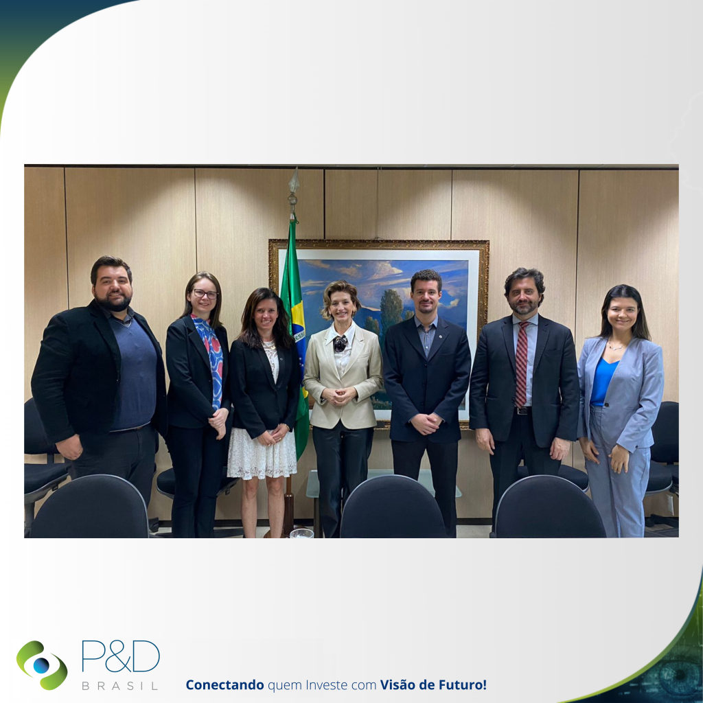 P&D Brasil em agenda com a Subsecretária de Desenvolvimento Econômico Sustentável do Ministério da Fazenda
