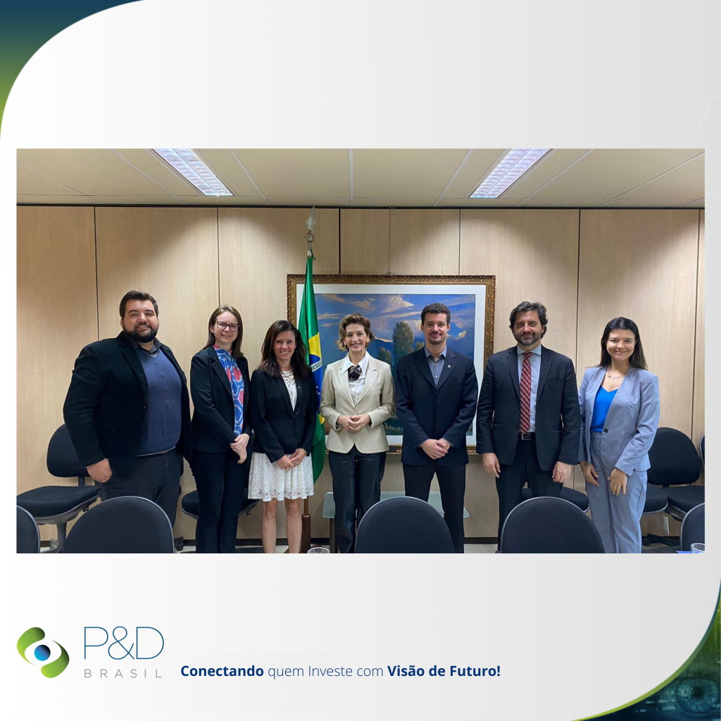 P&D Brasil em agenda com a Subsecretária de Desenvolvimento Econômico Sustentável do Ministério da Fazenda