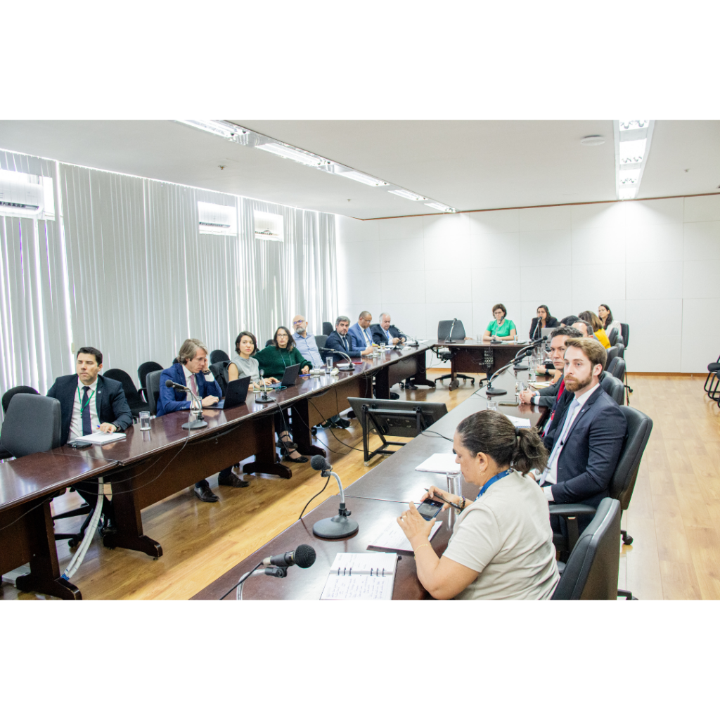 Reunião GT Resiliência em Cadeias de Valor do CNDI