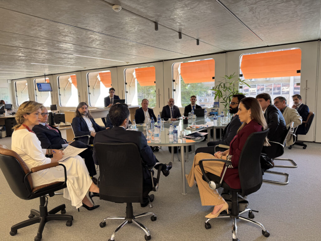 Agenda Conjunta P&D Brasil, MCOM e BNDES