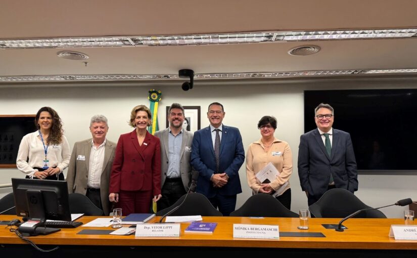 Rosilda Prates, Presidente da P&D Brasil, participa de audiência pública na Câmara dos Deputados